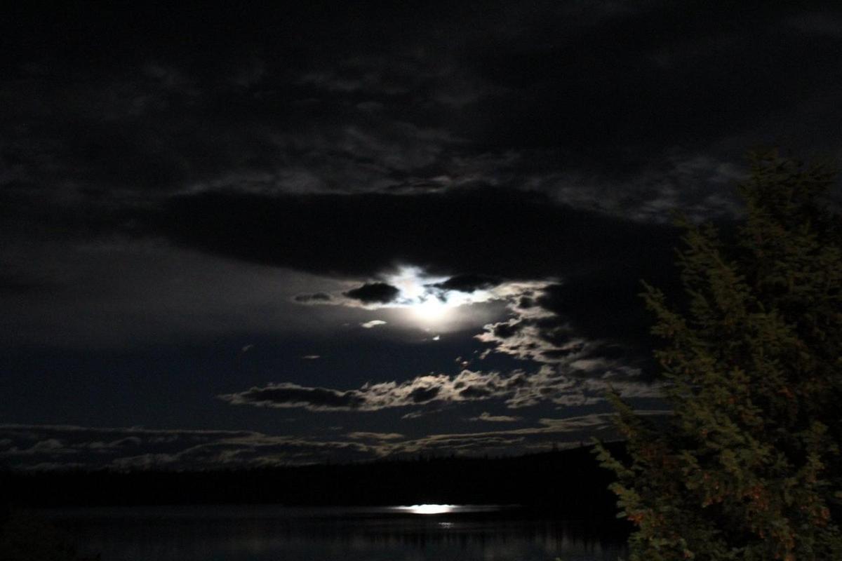 Lac Le Jeune Nature Resort Logan Lake Exterior foto
