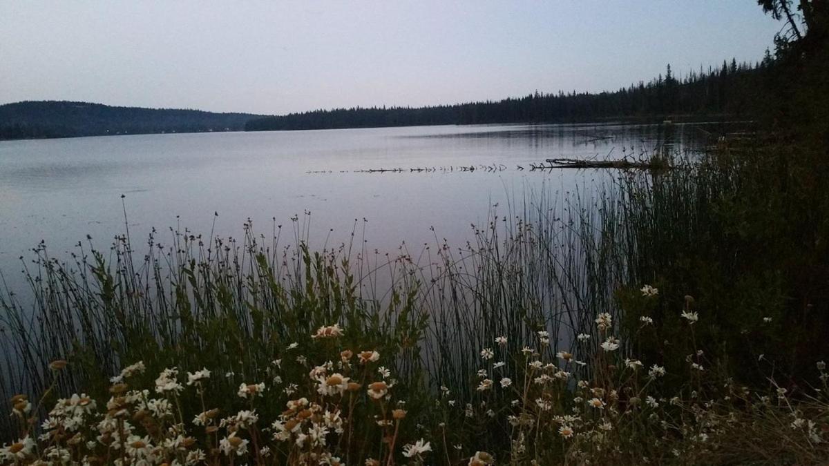 Lac Le Jeune Nature Resort Logan Lake Exterior foto